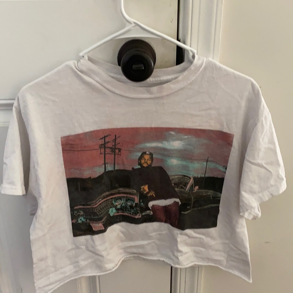 ice cube crop top